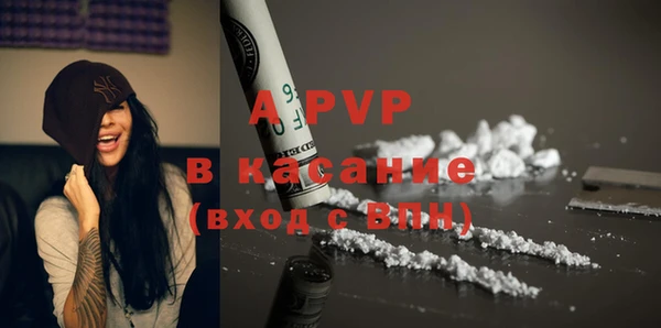 спайс Арсеньев