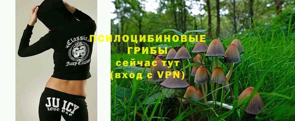 спайс Арсеньев
