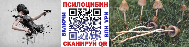 Псилоцибиновые грибы MAGIC MUSHROOMS  Спасск-Дальний 